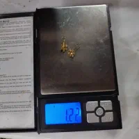 گوشواره شکل گل