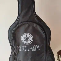 گیتار|گیتار، بیس، امپلیفایر|مشگین شهر, |دیوار