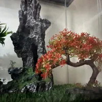 فروش آکواریوم چوبی کاملا نو با وسایل داخلش|ماهی|تهران, قصر فیروزه ۲|دیوار