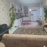 فروش معاوضه، ویلایی در مسکن