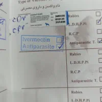 سگ پودل کراس مالتیز فقط8500|سگ|کرج, فاز ۴ مهرشهر|دیوار