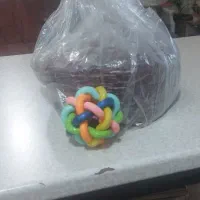 غذای گربه وناخنگیر واسباب بازی وظرف خاک وکیف حمل