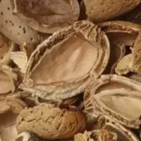 فروش تناژ پوست خشک بادم درختی..گردو..