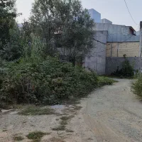 فروش زمین ۱۰۵ متری در رشت|فروش زمین و ملک کلنگی|رشت, ولکس|دیوار