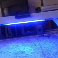 اجاره دستگاه زردی