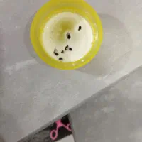 سمپاشی سم پاشی متخصص ساس و سوسک «۱۰۰٪تضمینی»|خدمات نظافت|پاکدشت, پاکدشت (مامازند)|دیوار