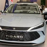 بی وای دی چین ال 2025
