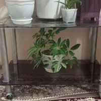 میز در حد نو