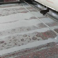 قالیشویی قالی شویی تمام اتوماتیک 118صدرا گلستان|خدمات نظافت|صدرا-فارس, فاز ۱|دیوار