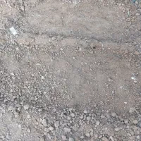 باغبانی هستم|خدمات باغبانی و درختکاری|بندر امام خمینی, |دیوار