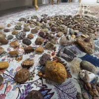 سنگ با ارزش