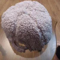 ۲ عدد کلاه کاملا نو زنانه و اسپرت توضیحات کامله|لباس|تهران, سازمان برنامه جنوبی|دیوار