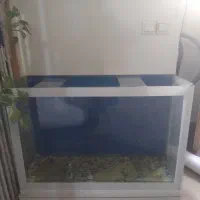 آکواریوم بزرگ همراه با سنگ و توری کف