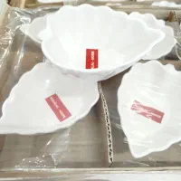 ظروف سرامیکی