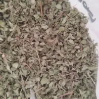 اویشن کوهی درجه یک