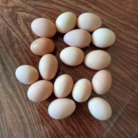 فروش تخم مرغ محلی کلی وجزیی|خوردنی و آشامیدنی|نهاوند, |دیوار