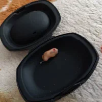 سمکNEXTON|پزشکی|نقده, |دیوار