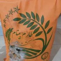 برنج کشت دوم بینام