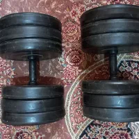 دمبل و هالتر|تجهیزات ورزشی|اسفراین, |دیوار