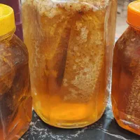 عسل صددرصد طبیعی