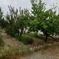 باغچه 500متری سکونت دائم/شهریار/دهشاد/میدان نماز|فروش خانه و ویلا|شهریار, دهشاد بالا|دیوار