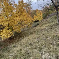 فروش ملک تجاری مسکونی در بهترین موقعیت روستای خبر