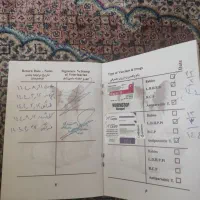 سگ دوبرمن