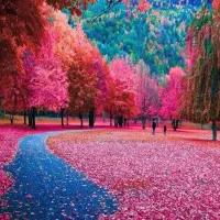 راهنمایی سفر