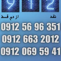 09120695941