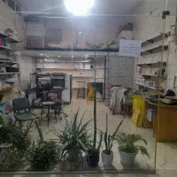 واگذاری مغازه ظروف یکبار مصرف|فروشگاه و مغازه|ورامین, ورامین|دیوار