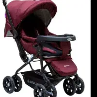 کالسکه دلیجان رنگ بادمجونی