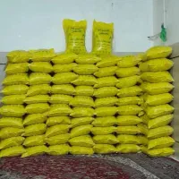 برنج عنبربو شوشتر