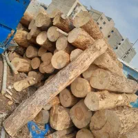 خریدار چوب در محل|خدمات باغبانی و درختکاری|مشکین‌دشت, |دیوار