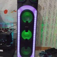 باند سونیا|سیستم صوتی خانگی|گلبهار, نوبهار|دیوار