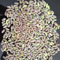 فروش مغز پسته اکبری