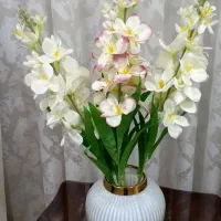 گل شبوباگلدان