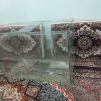 آکواریم شیشه زخیم یک متری