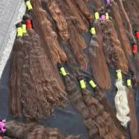 بزرگ‌ترین نمایندگی اصلی خریدمو بانوان