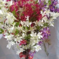 گلهای مارک گلد کیش