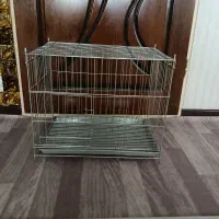 قفس جفت کنی کبوتر جوجه شازده سرور