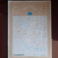 مغازه ۴۶ متری