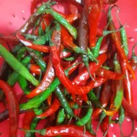 خیارشور بومی شیراز|خوردنی و آشامیدنی|شاهین‌شهر, کوی مهدیه|دیوار