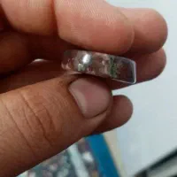 شجر دریای گل عناری|کلکسیون و سرگرمی|اهواز, پردیس|دیوار