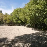 قطعه زمین ۱ هکتاری واقع در روستای الویجان|فروش دفتر صنعتی، کشاورزی، تجاری|تفرش, |دیوار