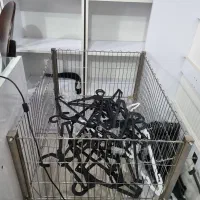 دکور مغازه|فروشگاه و مغازه|اهواز, شهرک حفاری|دیوار