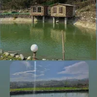 اقامتگاه هم رفیق