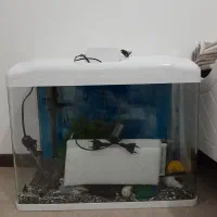 آکواریوم خم همراه همه تجهیزات
