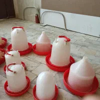 دانخوری آبخوری|لوازم جانبی حیوانات|اردبیل, |دیوار