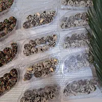 انواع حلوا خرمایی خانگی با مغزی جات