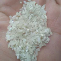 برنج سر لاشه|خوردنی و آشامیدنی|تهران, قنات‌کوثر|دیوار